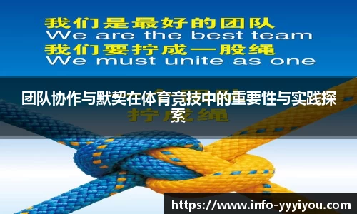 yy易游体育官网